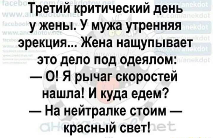 Третий критический день у жены У мужа утренняя эрекция Жена нащупывает это дело под одеялом О Я рычаг скоростей нашла И куда едем На нейтралке стоим красный свет