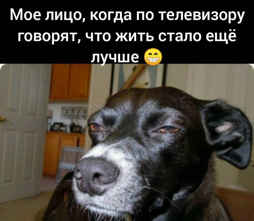 Мое лицо когда по телевизору говорят что жить стало ещё
