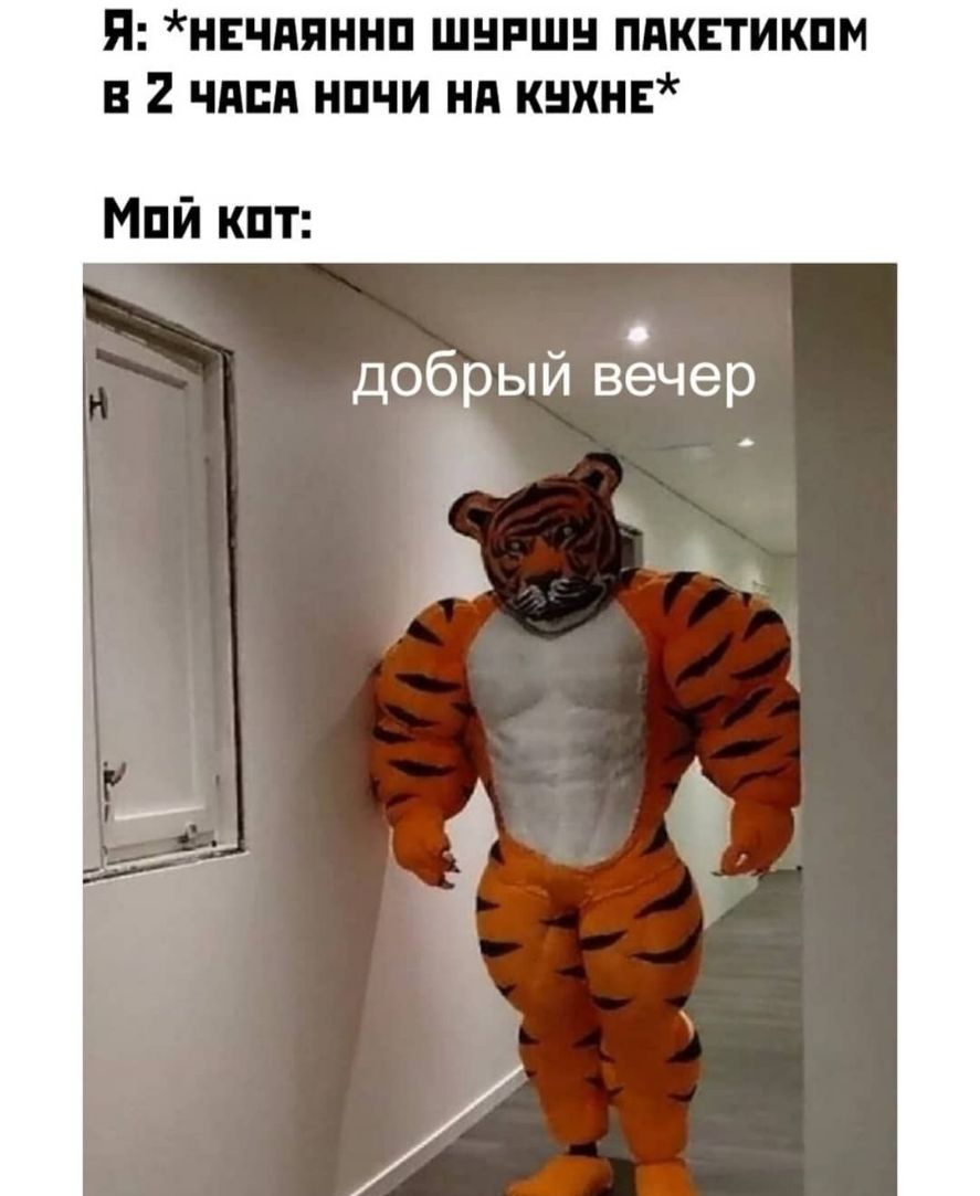 Я нвчдяннп шнпшн пдквтикпм 2 чдпд нпчи нп кнхнв Мпй кпт добрый вечер і к