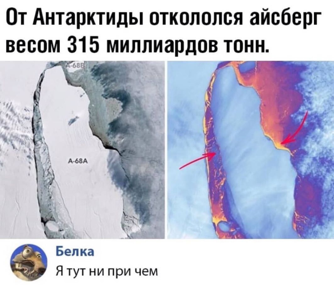 От Антарктиды откололся айсберг весом 315 миллиардов тонн Белка Я тут ни при чем