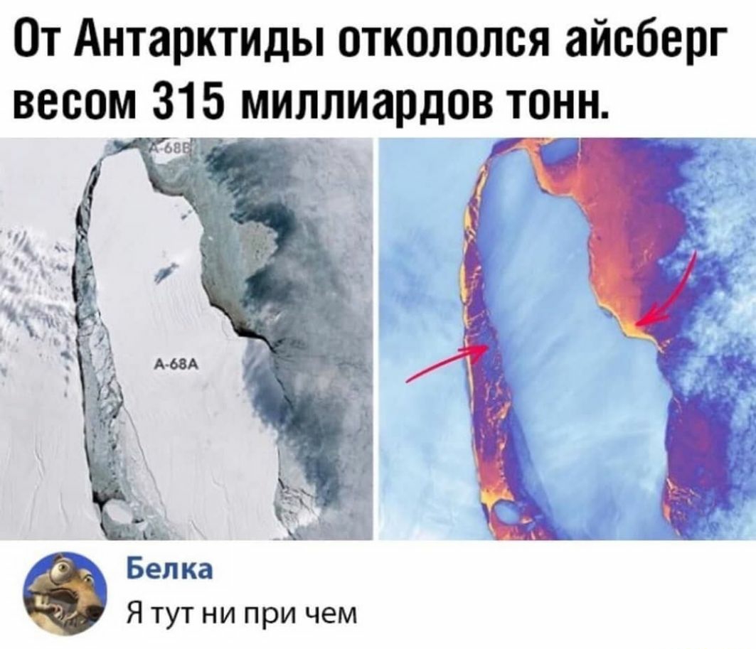 От Антарктиды откололся айсберг весом 315 миллиардов тонн Белка Я тут ни при чем