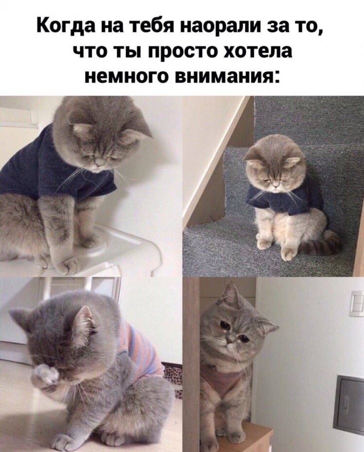 Когда на тебя наорали за то что ты просто хотела немного внимания