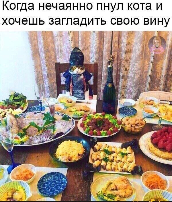 Когда НЭЧЭЯННО ПНУЛ КОТЭ И ХОЧЕШЬ ЗЭГЛЭДИТЬ СВОЮ ВИНУ