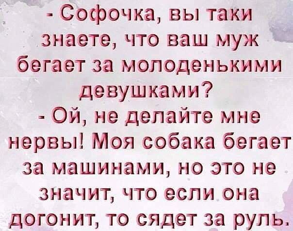 Софочка вы таки знаете что ваш муж бегает за молоденькими девушками Ой не делайте мне нервы Моя собака бегает за машинами но это не значит что если она догонит то сядет за рупь