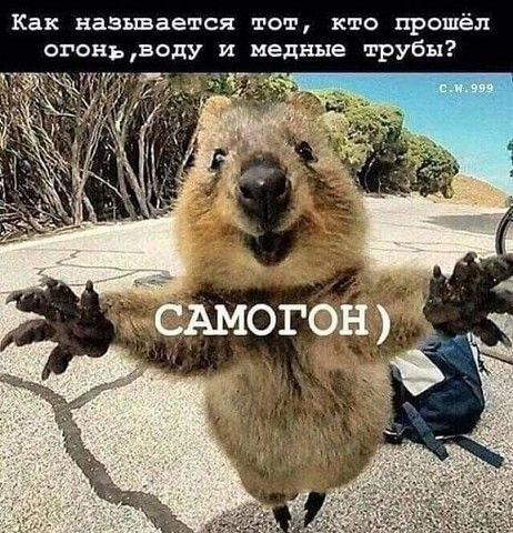 Как называется тот кто прошёл огоньводу и медные трубы