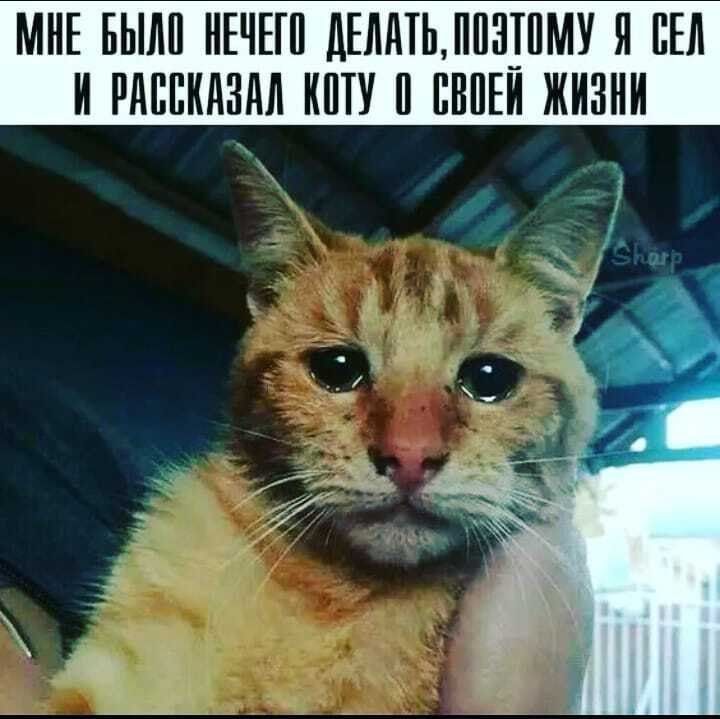 МНЕ БЫМ НЕЧЕП дЕЛдТЬППЗПМУ Я БЕЛ И РАППКАЗМ КПТУ ПВПЕИ ЖИЗНИ