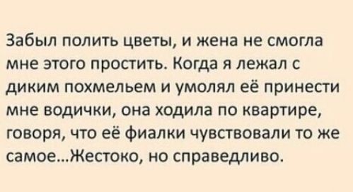 Забыл полить цветы и жена не смогла мне этого простить Когда я лежал с диким похмельем и умолял её принесги мне водички она ходила по квартире говоря что её Фиалки чувствовали то же самоеЖестоко но справедливо
