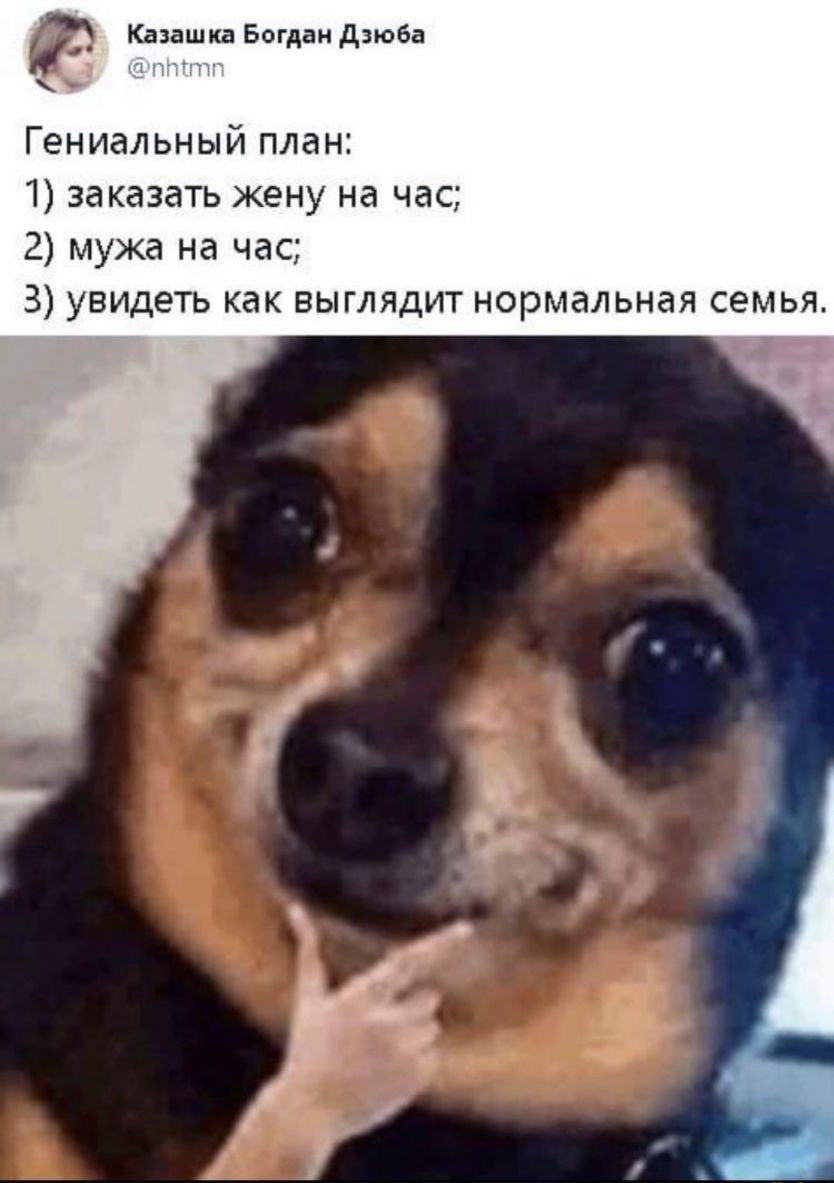 Ка ашкд Богдан дзюба Гениальный план 1 заказать жену на час 2 мужа на час 3 УВИДЕТЬ как ВЫГЛЯДИТ нормальная семья