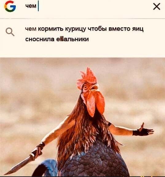 6 чем Х О чем кормить курицу чтобы вместе яиц сноснипа еіальники