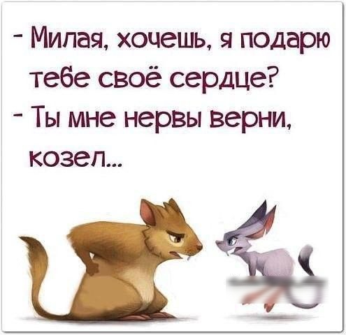 Милая хочешь я подарю тебе своё сердце Ты мне нервы верни козел