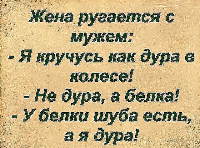 Жена ругаетсяс Мужем Я кручусь как дура в колесе Не дура а белка У белки шуба есть а я дура