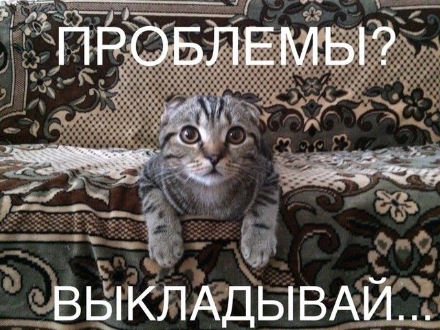 г апЁЛдЁБтВАШ