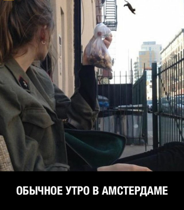 ОБЫЧНОЕ УТРО В АМСТЕРДАМЕ