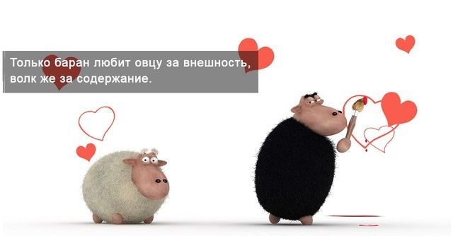 Только баран любит овцу за внешноыь ВОЛК Же за содержание