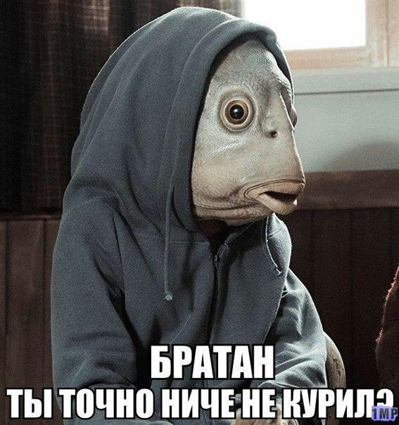 врши ты точщичвнашгшщ