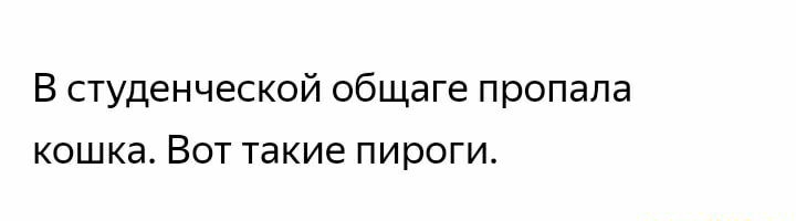 В студенческой общаге пропала кошка Вот такие пироги