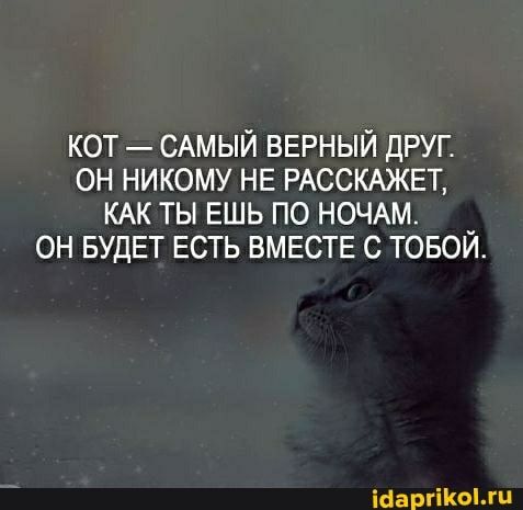 кот САМЫЙ вврный друг он никому НЕ РАССКАЖЕТ КАК ты ЕШЬ по НОЧАМ он БУДЕТ ЕСТЬ ВМЕСТЕ с товой ісаргіогц