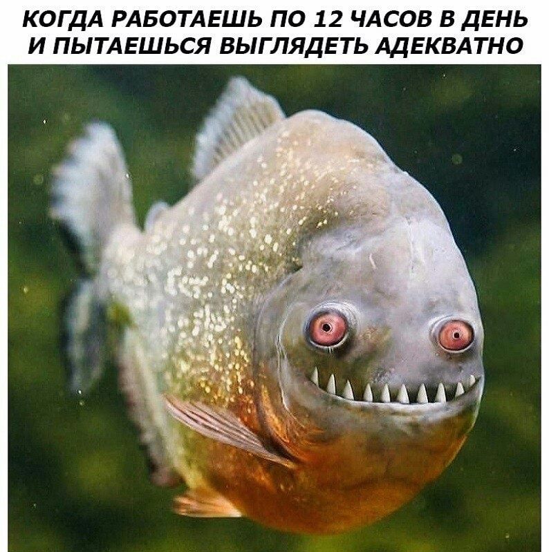 КОГДА РАБОТАЕШЬ ПО 12 ЧАСОВ В ДЕНЬ И ПЫТАЕШЬСЯ ВЫГЛЯДЕТЬ АДЕКВАТНО