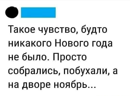Такое чувство будто никакого Нового года не было Просто собрались побухали а на дворе ноябрь