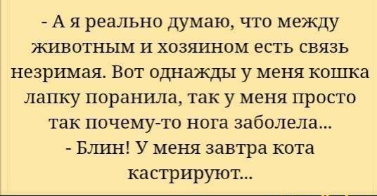 А я реально думаю что между животным и хозяином есть связь незримая Вот однажды у меня кошка лапку поранила так у меня просто так почему то нога заболела Блрш У меня завтра кота кастрируют