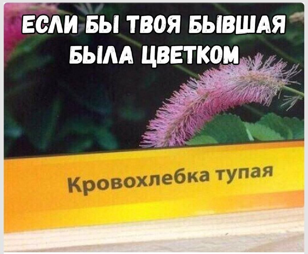 Ебли БЫ ТВОЯ БЫВШАЯ