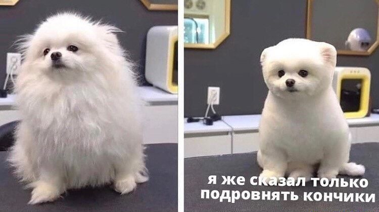ПОДРОВНЯТЬ КОНЧИКИ