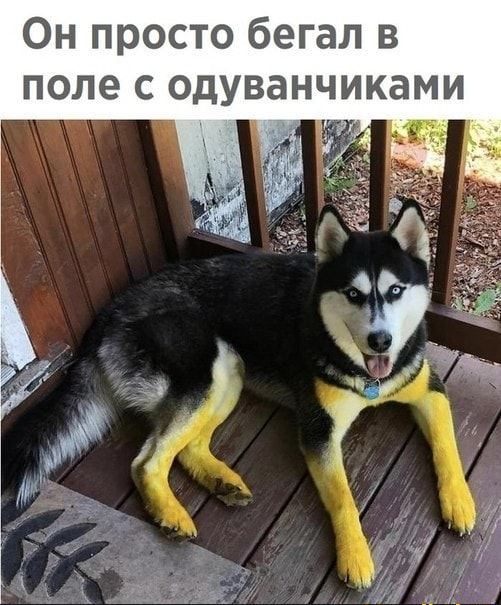 Он просто бегал в