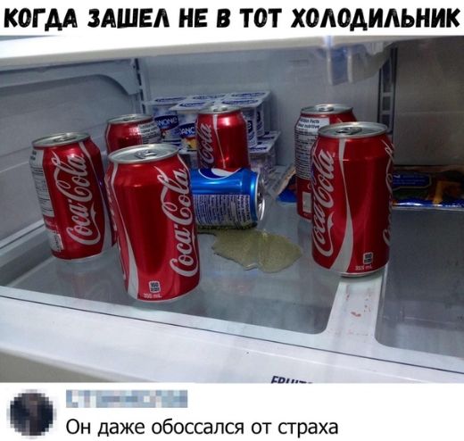 КОГ АА ЗАШЕА НЕ В ТОТ ХОЛОДИЛЬНИК и и 5 1 _ __ Он даже обоссался от страха