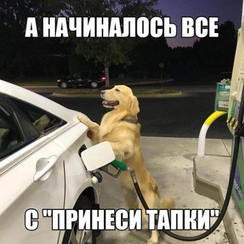 391 а АЧИНМЮВЬ ВБ