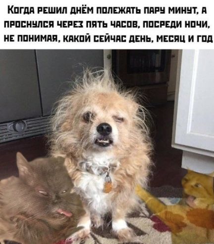 КПГМ РЕШИП дИЁМ ПППЕЖАТЪ ПАР МИМШ П ПРПЕНШШП ЧЕРЕЗ ППТЬ ЧЛЕН ППБРЕДИ НПЧИ НЕ ППНИМПП ШПЙ БЕЙЧПБ ЛЕНЬ МЕСЯЦ И ГПП