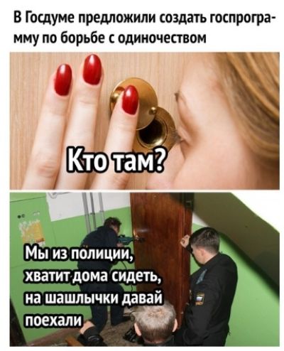 В Госдуме предложили создать госпрогра мму по борьбе одиночеством хватитдома сидеть на шашлычки давай
