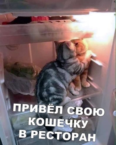 приввлёою Йошёку ЁРЕСТОРАЦ
