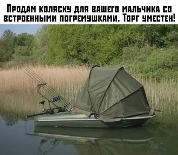 Пипдян кппяпкн дли вишни миль сики п пптипнииыни ппгпмншкпии Тпиг нннптни