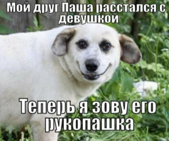МВИ ДШП Паша ПИССТНПСЯ с дВВУШНОИ
