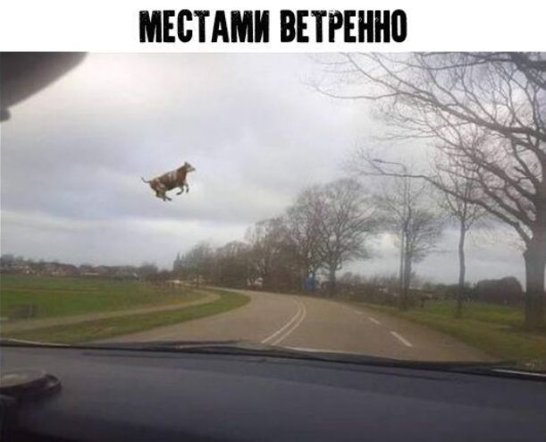МЕБТАМИ ВЕТРЕШЮ