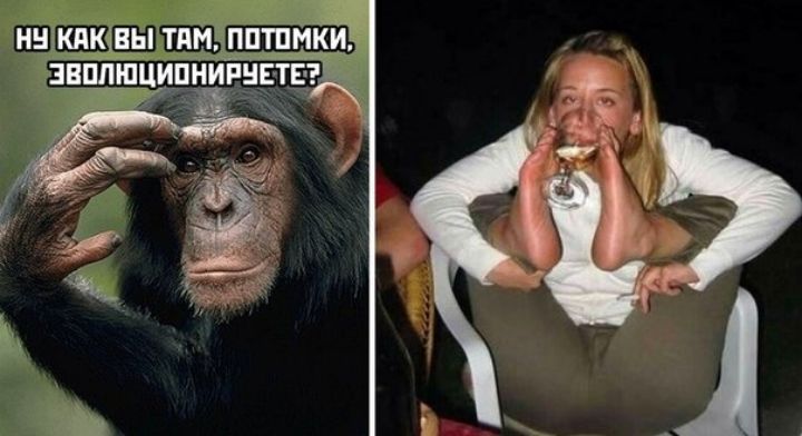 ННЁКЯВБТПМ ЁППШМКИ
