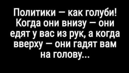 Политики как голуби Когда они внизу они едят у вас из рук а когда вверху они гадят вам на голову