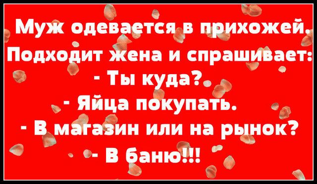 Муж одеіаетъяф щиЁжевъ Подходит Ёеиа и спращфаеЁ 3 Ты к даф яйца п упаіь __ В наЁин или на рьдюй е 0 В ЪаиюЁ