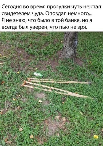 Сегодня во время прогулки чуть не стал свидетелем чуда Опоздап немного Я не знаю что было в той банке не и всегда был уверен что пью не зря