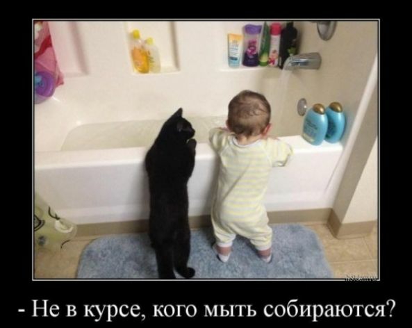 Не в курсе кого мыть собираются