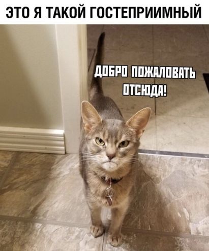 это я тдкой гостеприимный дПЕРП ППЖМПВПТЬ ПТППдд
