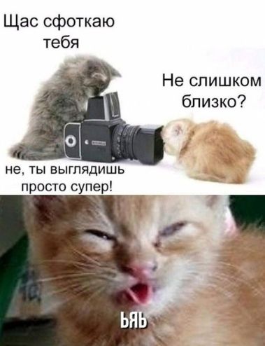 Щас сфоткаю тебя Не слишком близко не ты выглядишь просто супер