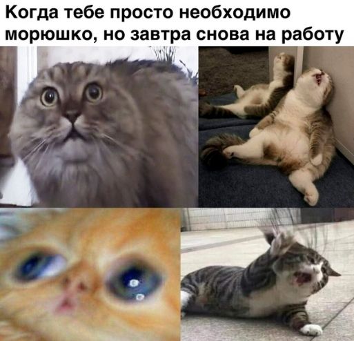 Когда тебе просто необходимо морюшко но завтра снова на работу д