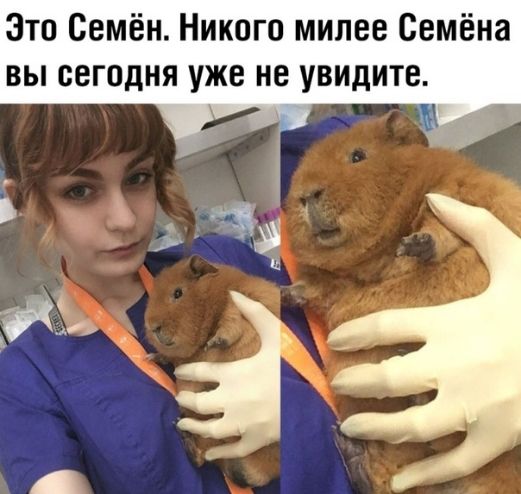 Зто Семён Никого милее Семёна ВЫ СЕГОДНЯ уже не увидите