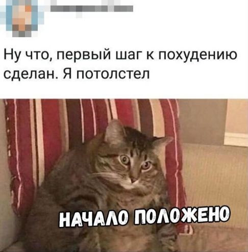 Ну что первый шаг к похудению сделан Я ПОТОЛ степ ндчмю помжвно