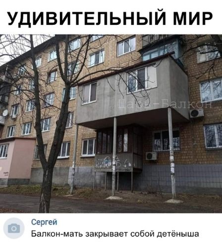 ДДЁЩЧ Сергеи Балконгмать закрывает собой детеныша