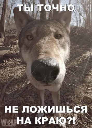 чтНА КРАЙ