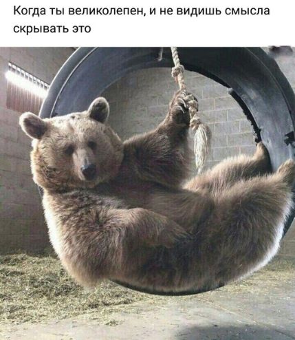 Когда ты великолепен и не видишь смысла скрывать это