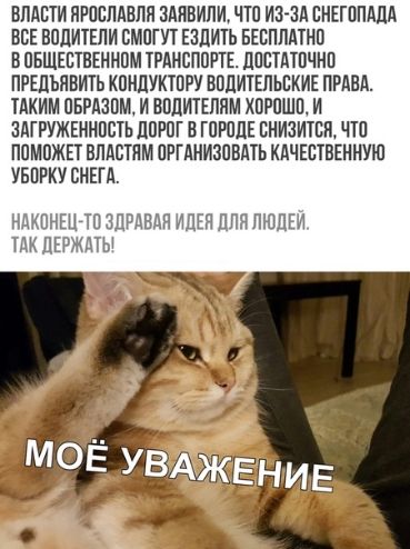 ВЛАСТИ ЯРПСЛАВЛЯ ЗАПВИПИ ЧТО ИЗЗд ЕНЕГППАДА ВСЕ ВПЛШЕЛИ ВМППП ЕЗДИТЬ БЕСПЛАТНО В ПБЩЕЕТВЕННПМ ТРАНСППРТЕ ЛППАШЧНП ПРЕЦЬПВИТЬ КПНПУКШРУ ВППИТЕПЬЕКИЕ ПРАВА КИМ ОБРАЗОМ И ВППИТЕПЯМ ХПРПШП И ЗАГРУЖЕННПСТЬ ЦПРПГ В ГПРПЦЕ ЕНИЗИТШ ПП ППМПЖЕТ ВЛАБТПМ ПРГАНИЗПВПЬ КАЧЕПВЕННУЮ УБПРКУ СНЕГА НДКВНЕЦЙП ЗПРЯ ИДЕЯ ПЛН ПИШЕМ МК ЦЕРЖДТЫ