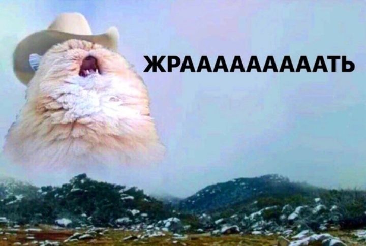 Цг ЖРАААААААААТЬ